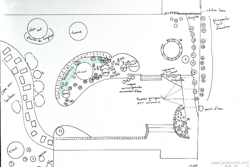 schema_masse_02_feng_shui