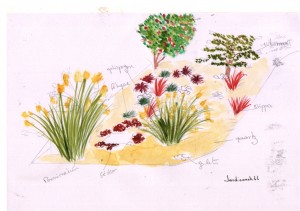 Schema_6_esquisse_parterre